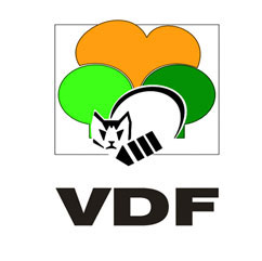 Logo VDF